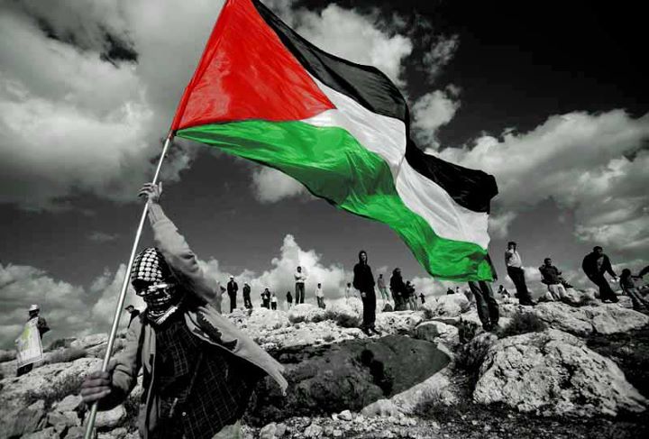 فلسطين العزة و الكرامة