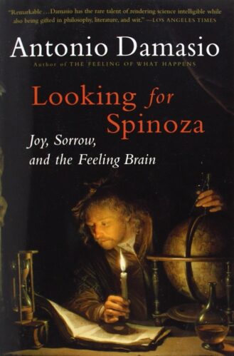 Lookinf f spinoza صواب سبينوزا و الدماغ الفرح
